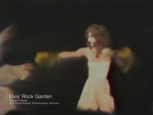 1978 Elvis' Rock Garden